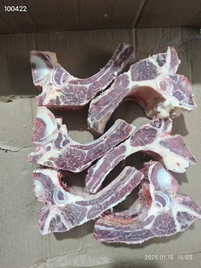 牛肋眼骨
