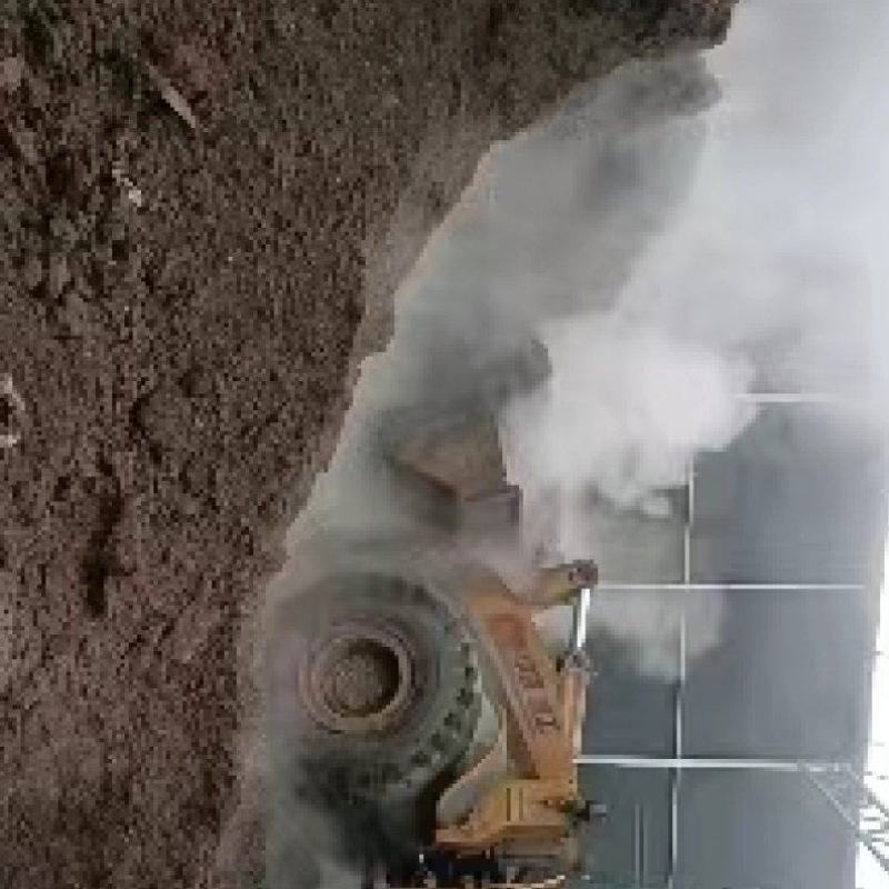 发酵牛粪品质上乘支持视频看货欢迎来电