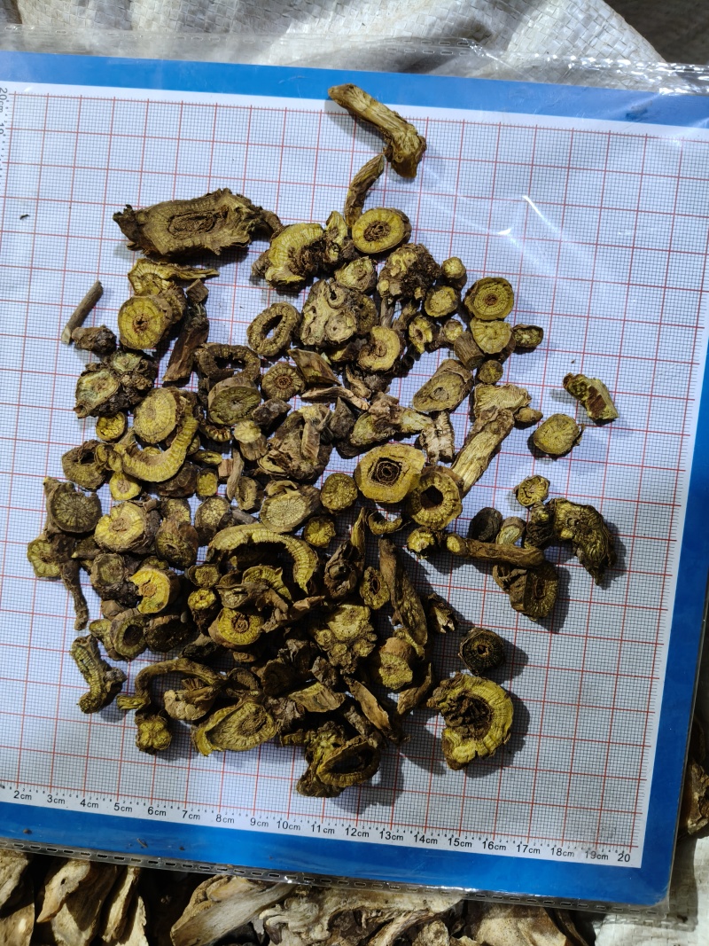 泽润中药批发供应黄芩山西四年空心黄芩