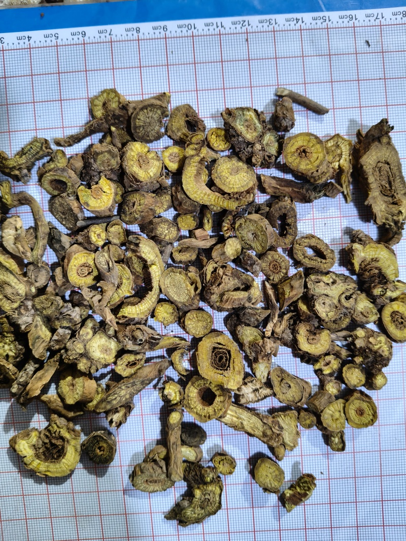 泽润中药批发供应黄芩山西四年空心黄芩