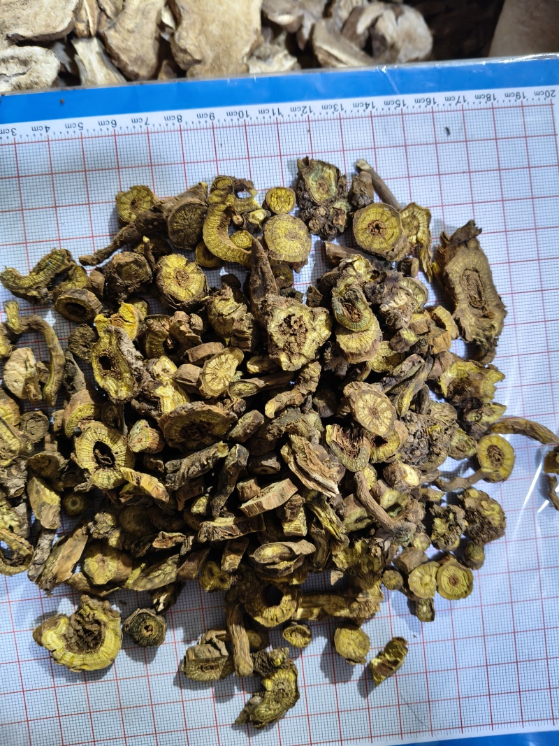 泽润中药批发供应黄芩山西四年空心黄芩