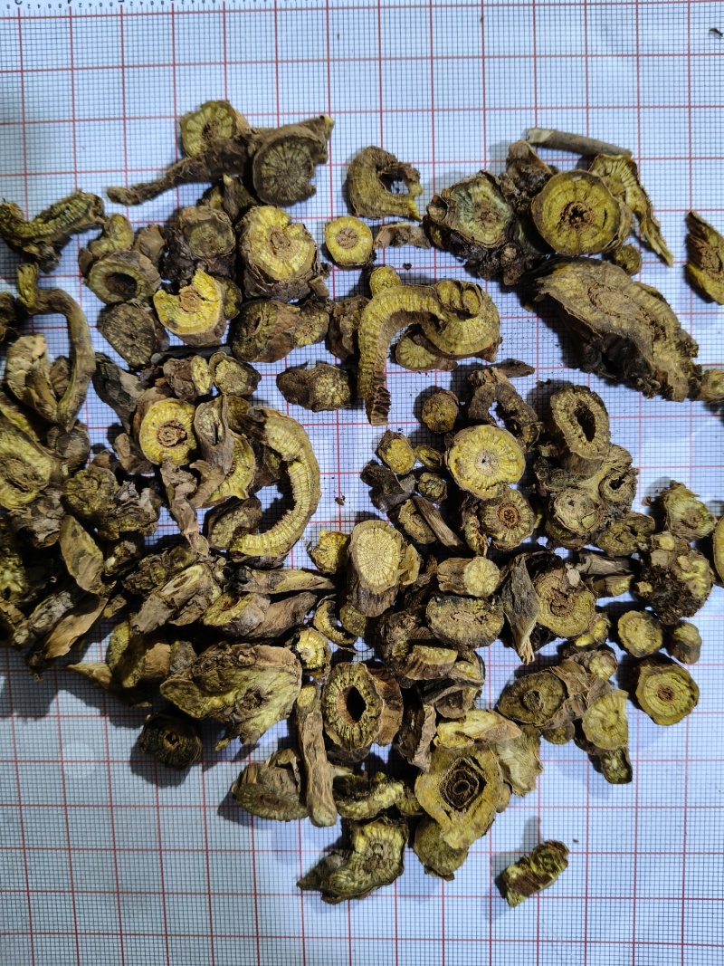 泽润中药批发供应黄芩山西四年空心黄芩