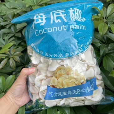海底椰片可零售可批发批发价更优欢迎电联
