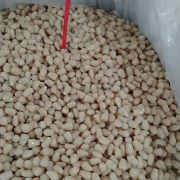 腌制半成品藠头有需要联系我