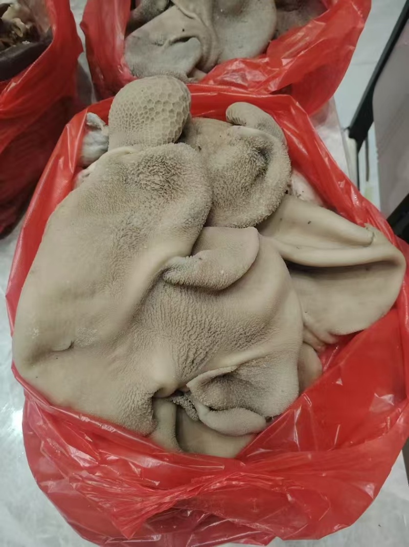 【熟食羊肚】新鲜熟羊肚，对接全国市场，商超，电商现货
