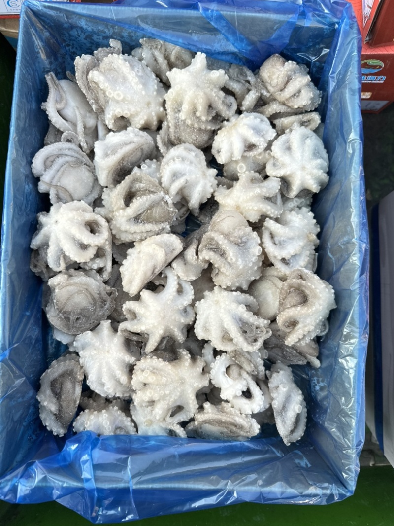 单冻小八爪鱼（章鱼），口感爽脆，不缩水，