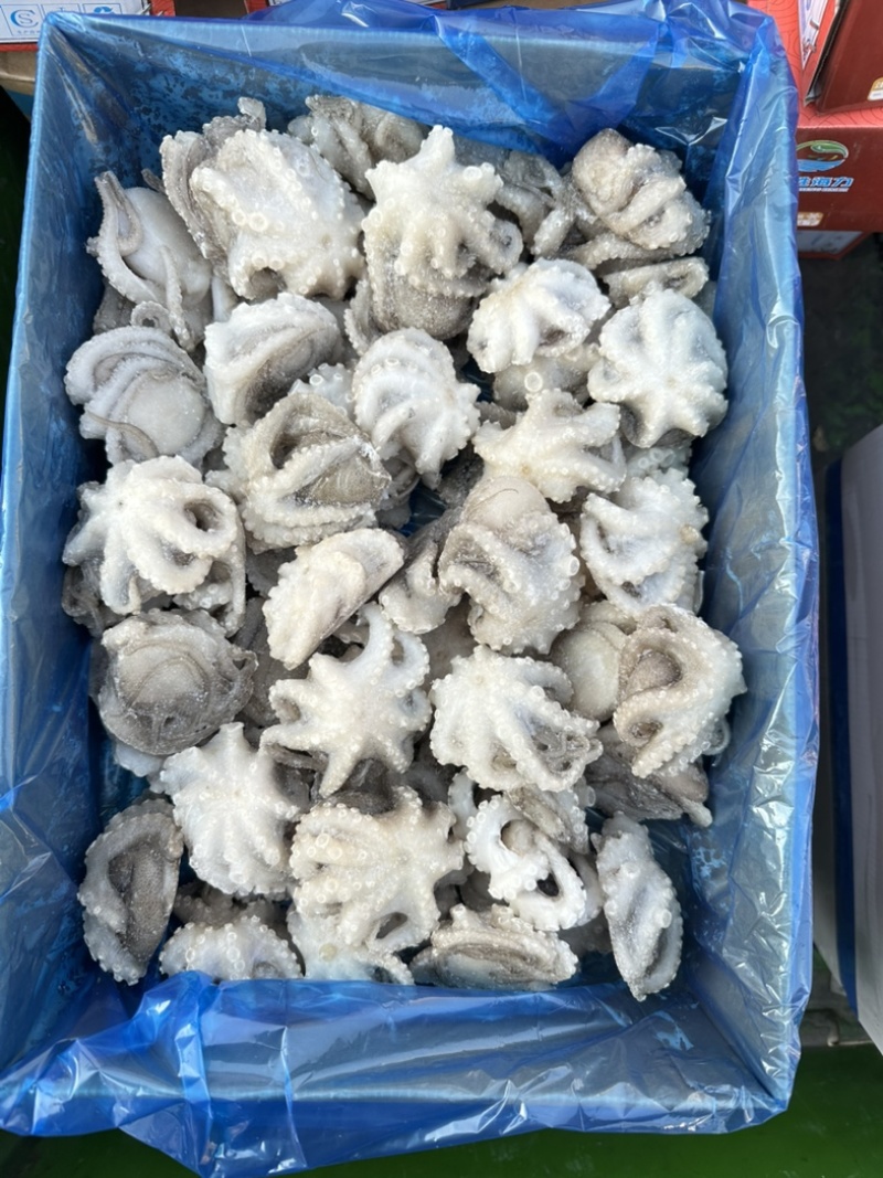 单冻小八爪鱼（章鱼），口感爽脆，不缩水，