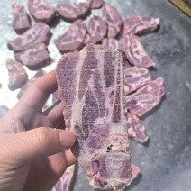 多肉猪颈骨