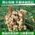 鲜花生干花生代收代办一条龙产地直发