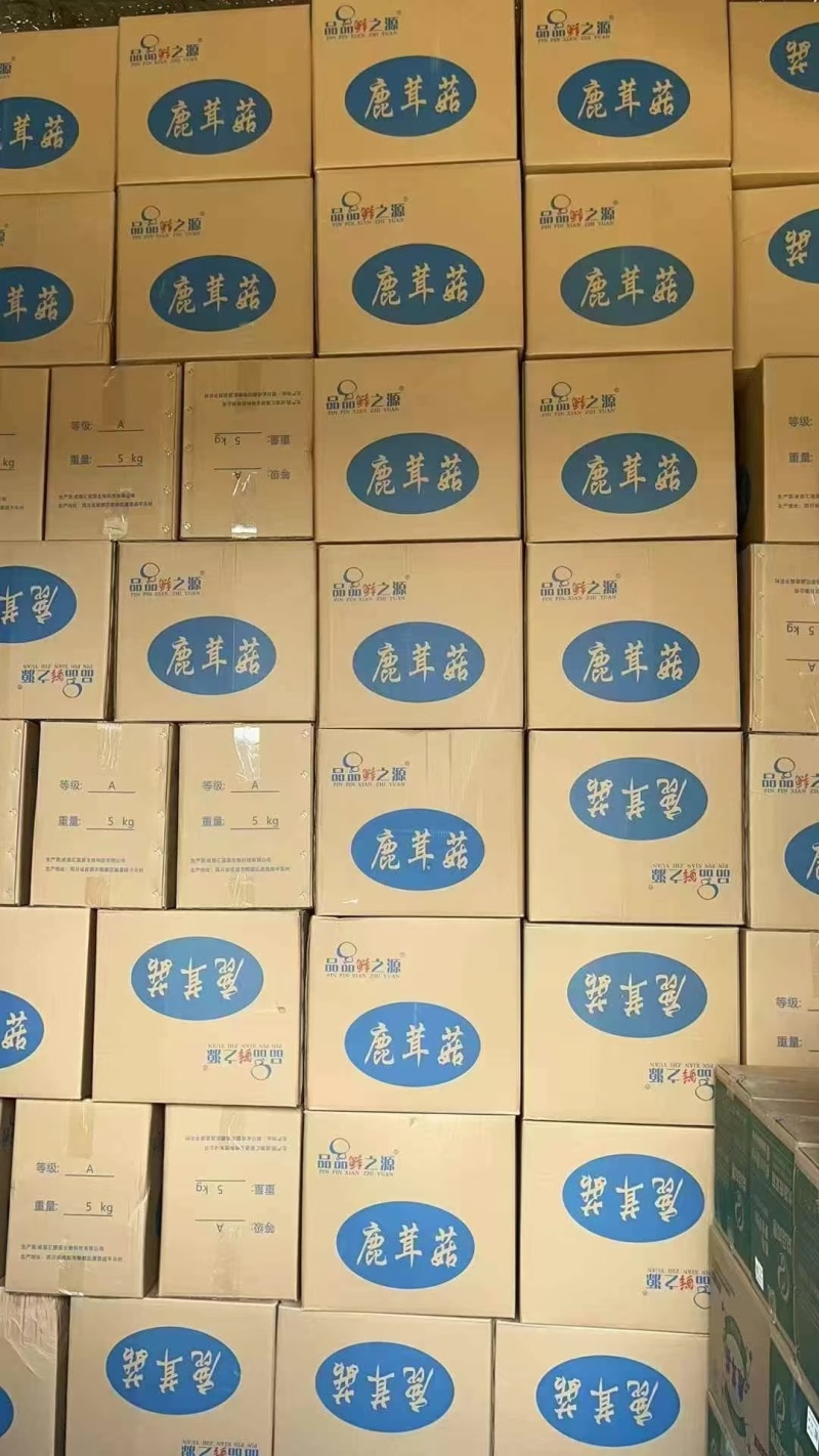 鹿茸菇，一件净重10斤，颜色白干净无碎片