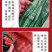 源头厂家大蒜网袋玉米网袋各种蔬菜网袋欢迎咨询