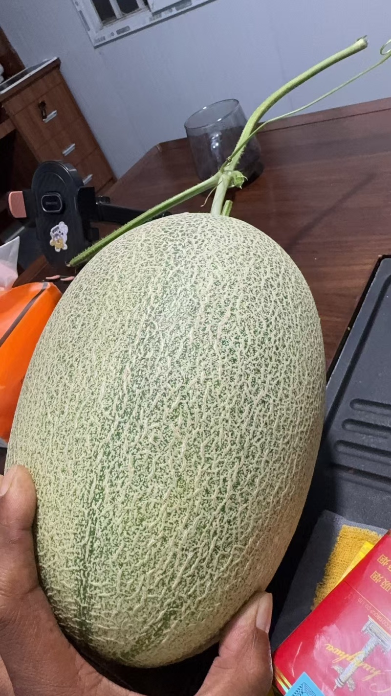 蜜瓜，市场，电商，一件代发，整车走货，价格优惠，产地直发