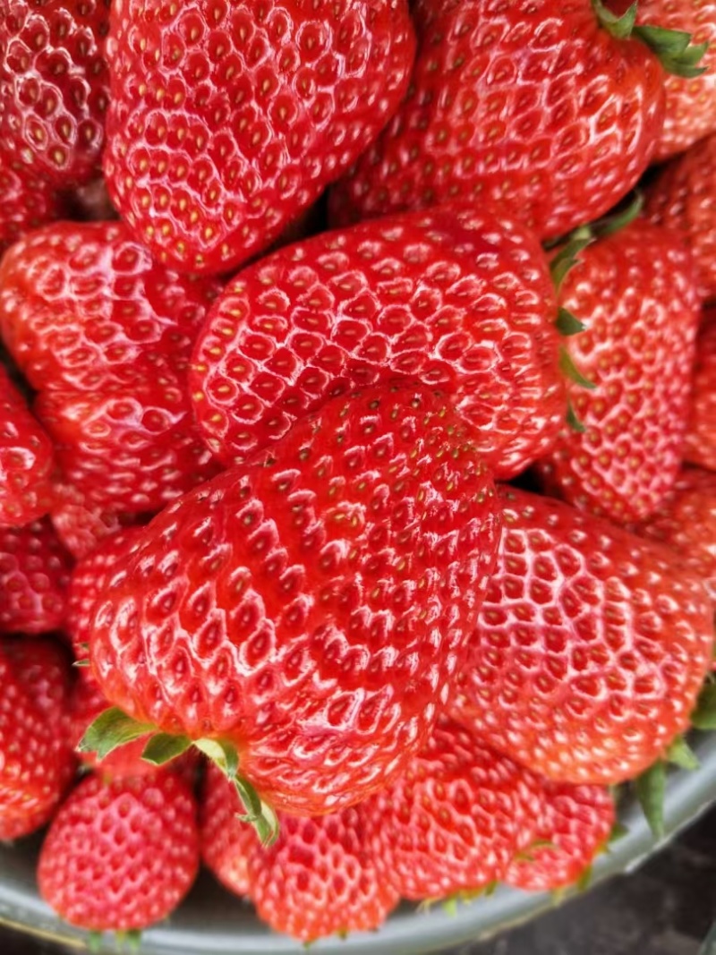 奶油草莓