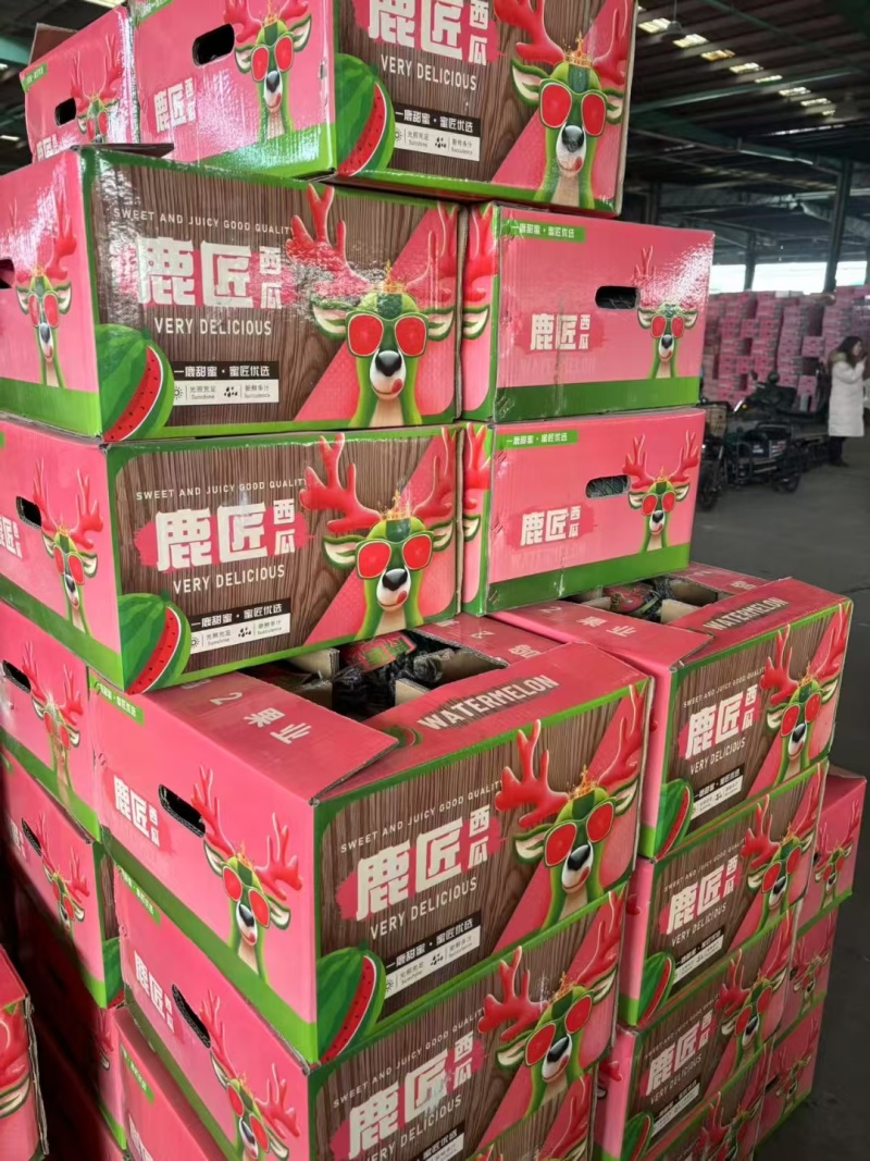 无籽西瓜黑美人