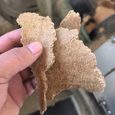 厂家直销量大从优高蛋白豆饼饲料豆饼