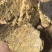 厂家直销量大从优高蛋白豆饼饲料豆饼