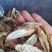 本地牛大力粉质干片，各种规格大中小片型均可加工