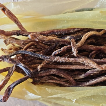 羊鞭中药材