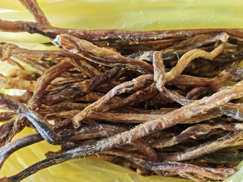 羊鞭中药材