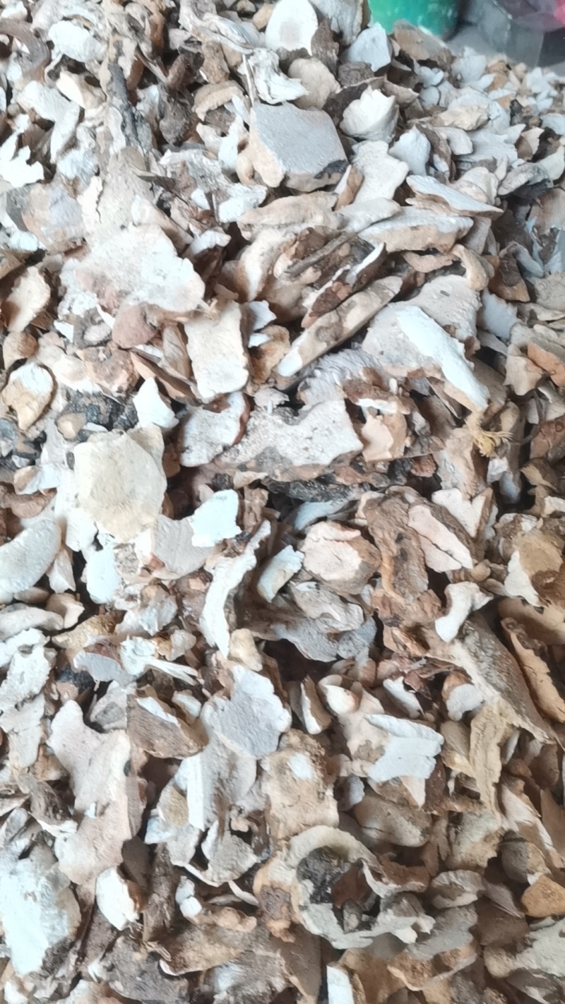 土茯苓粉广东本地土茯苓过滤纯粉大量批发零售