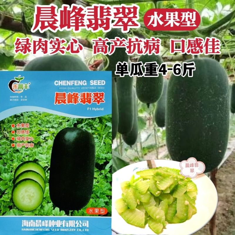 晨峰翡翠水果冬瓜种子黑皮小冬瓜种籽绿肉实心清爽脆甜迷你冬