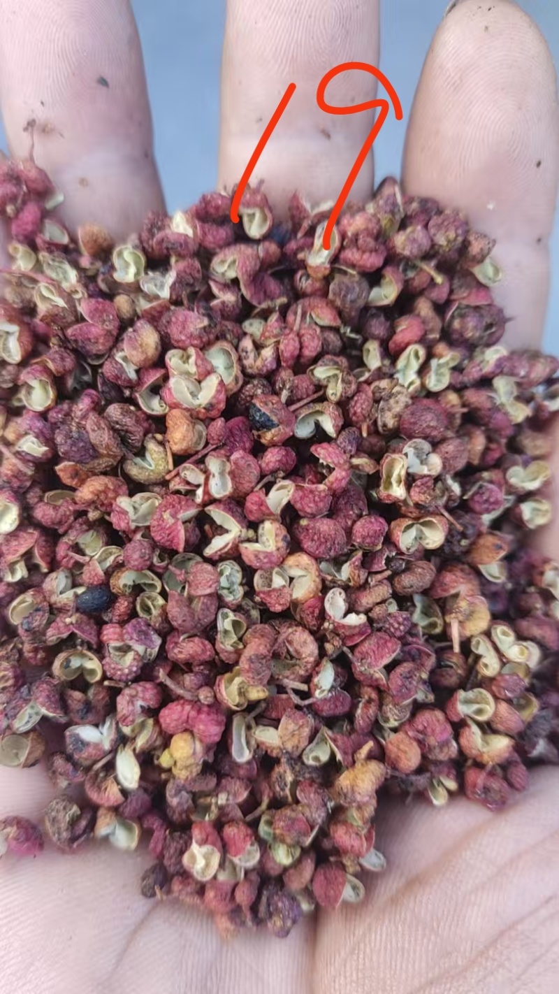 产地打粉色选过花椒价格实惠，产地直发，质优价廉