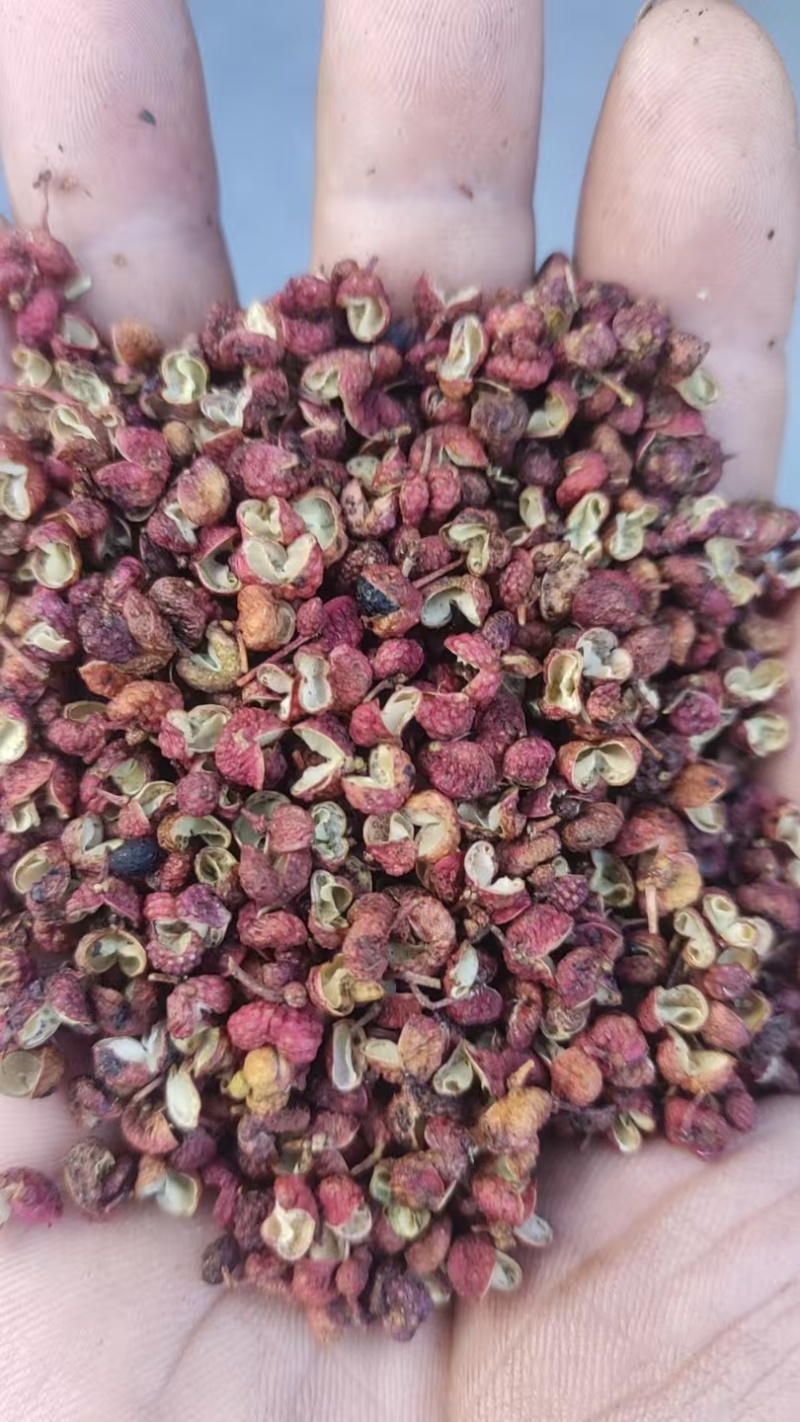 产地打粉色选过花椒价格实惠，产地直发，质优价廉