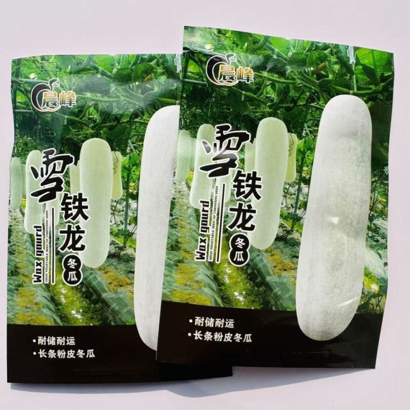 晨峰雪铁龙冬瓜种子大粉皮冬瓜种子新一代中熟长条炮弹形大