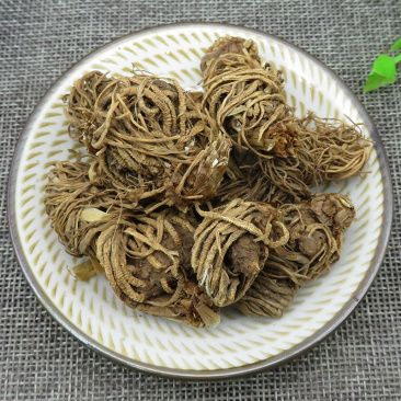 头顶一颗珠新货蛇头草蜂斗菜延龄草芋儿七中药