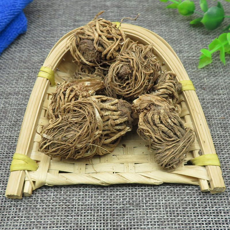 头顶一颗珠新货蛇头草蜂斗菜延龄草芋儿七中药