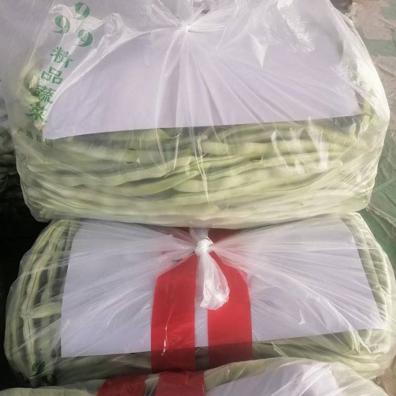 山东省成武县九粒白不老芸豆开始大量上市，30cm以上