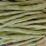 山东省成武县九粒白不老芸豆开始大量上市，30cm以上