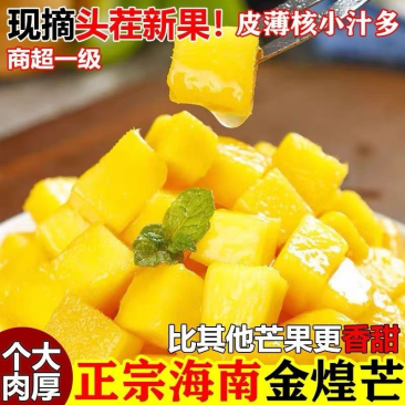 海南金煌芒，一件代发，各大电商，拼多多~抖音~快手~