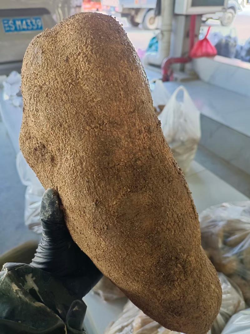 龙须根，佛手瓜根，兔耳勺根，洋瓜根