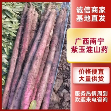 广西小叶紫玉淮山药，自家种植，口感好，价格实惠。