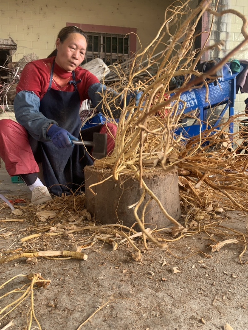 粤北高山五指毛桃，统货切断，无硫干货香味浓
