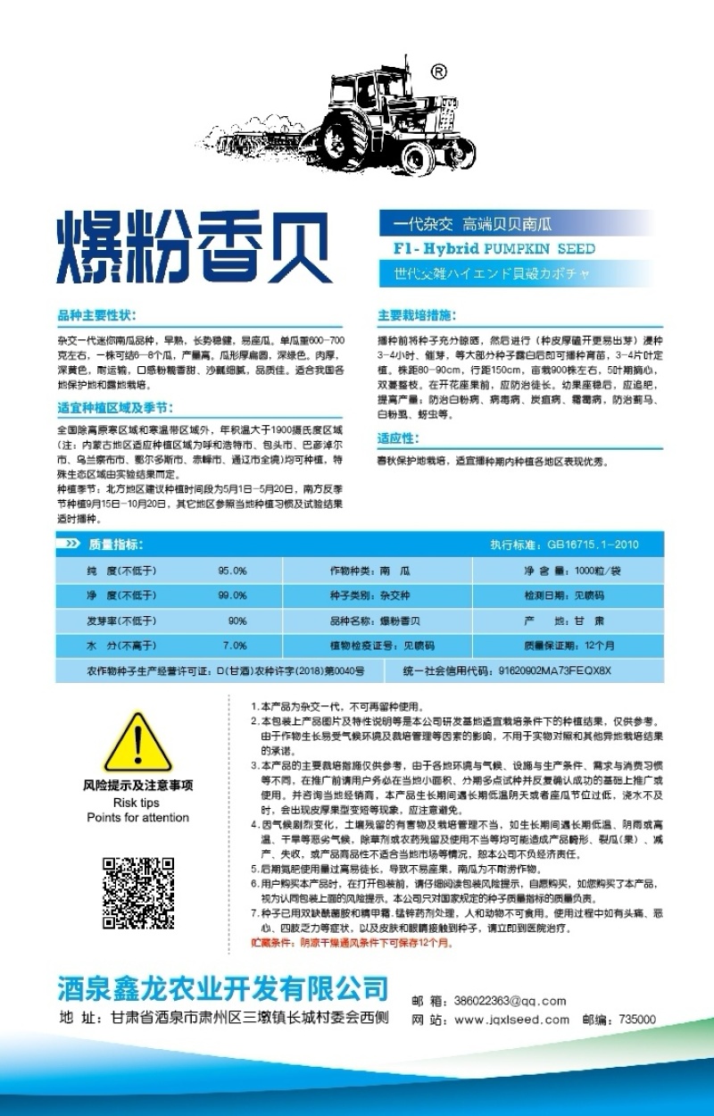 南瓜种子爆粉香贝香甜糯粉贝贝南瓜结瓜多瓜形美观