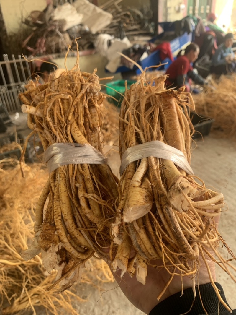粤北高山五指毛桃，无硫干货香味浓工厂直发