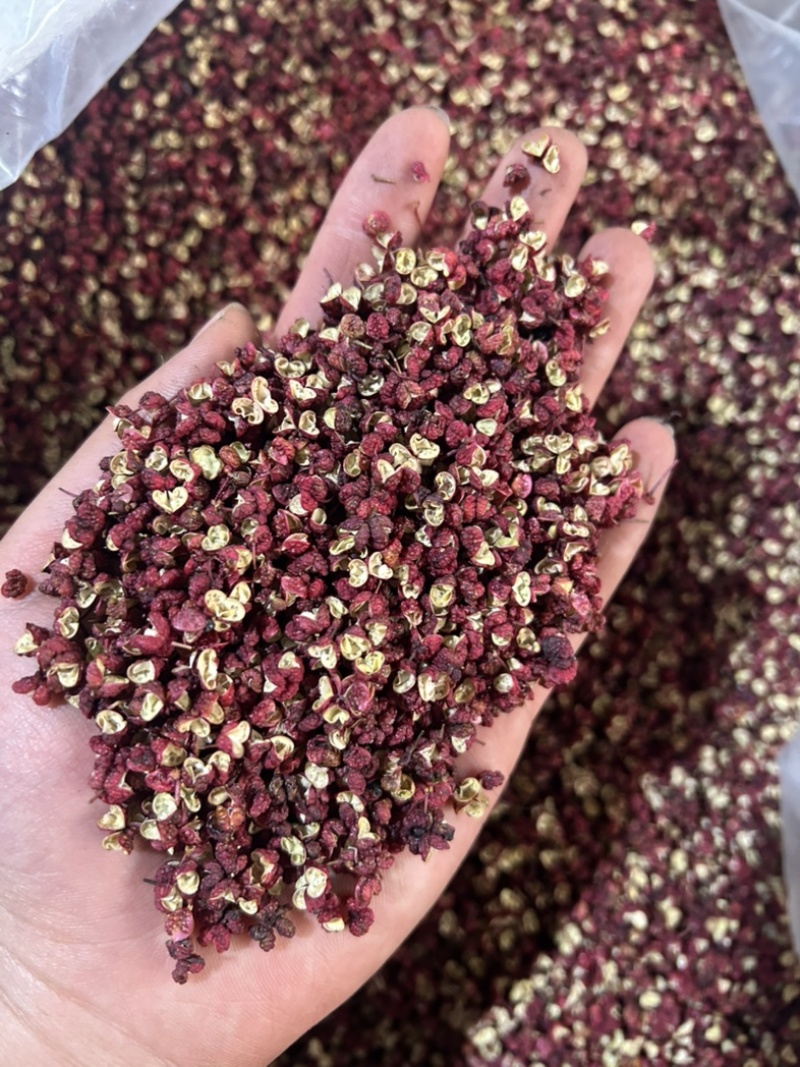 特级茂汶花椒
