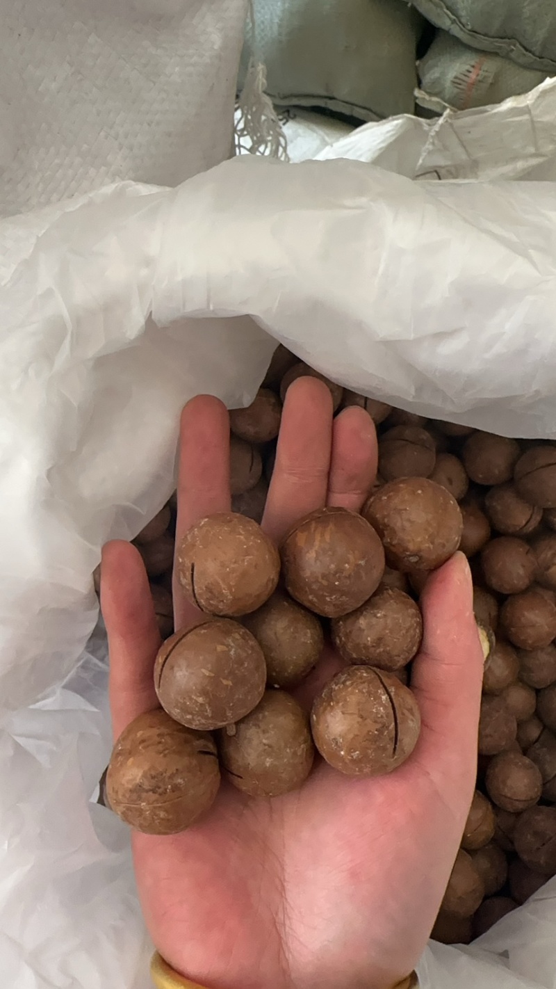 夏威夷果品质好价格优惠，量大价更优。个位数喜欢来约