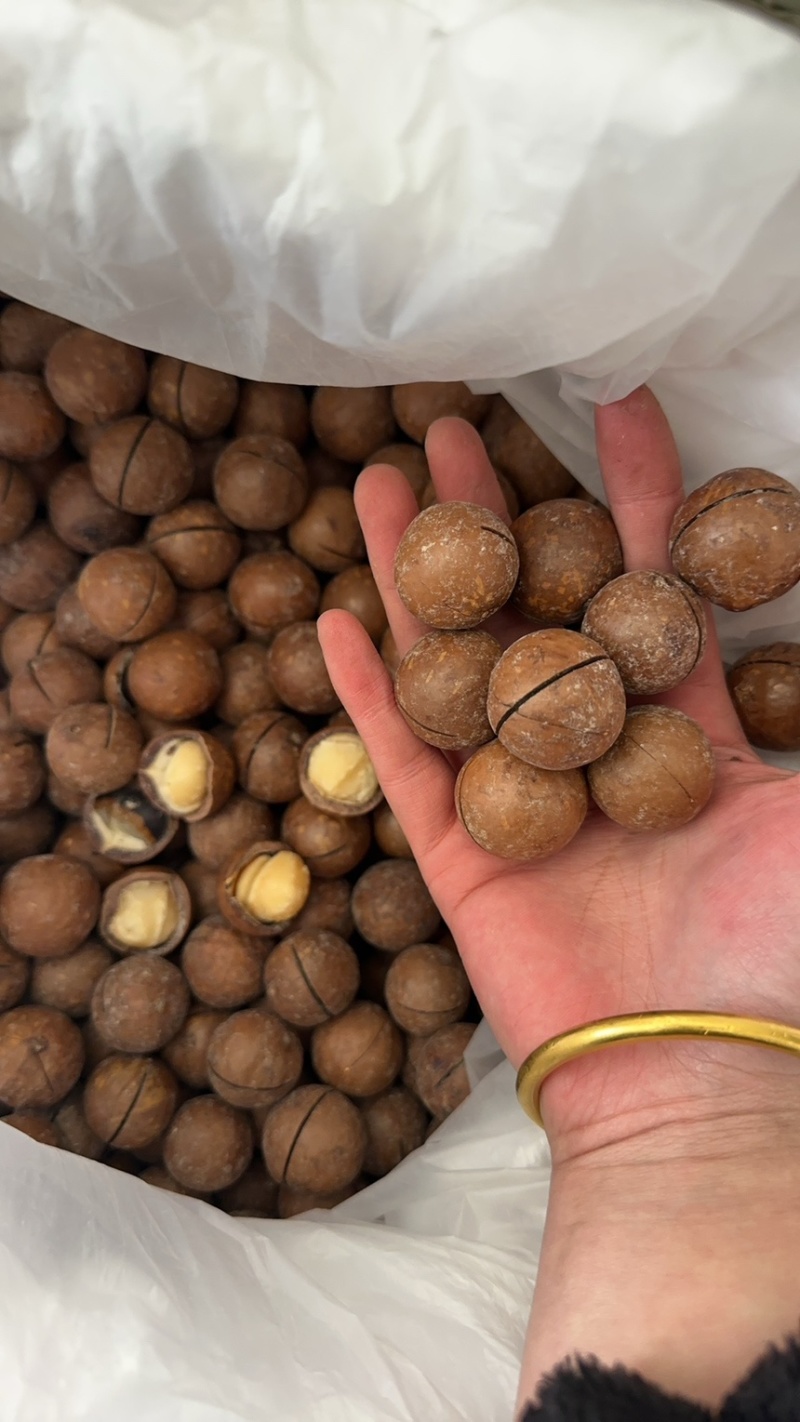 夏威夷果品质好价格优惠，量大价更优。个位数喜欢来约