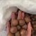 夏威夷果品质好价格优惠，量大价更优。个位数喜欢来约