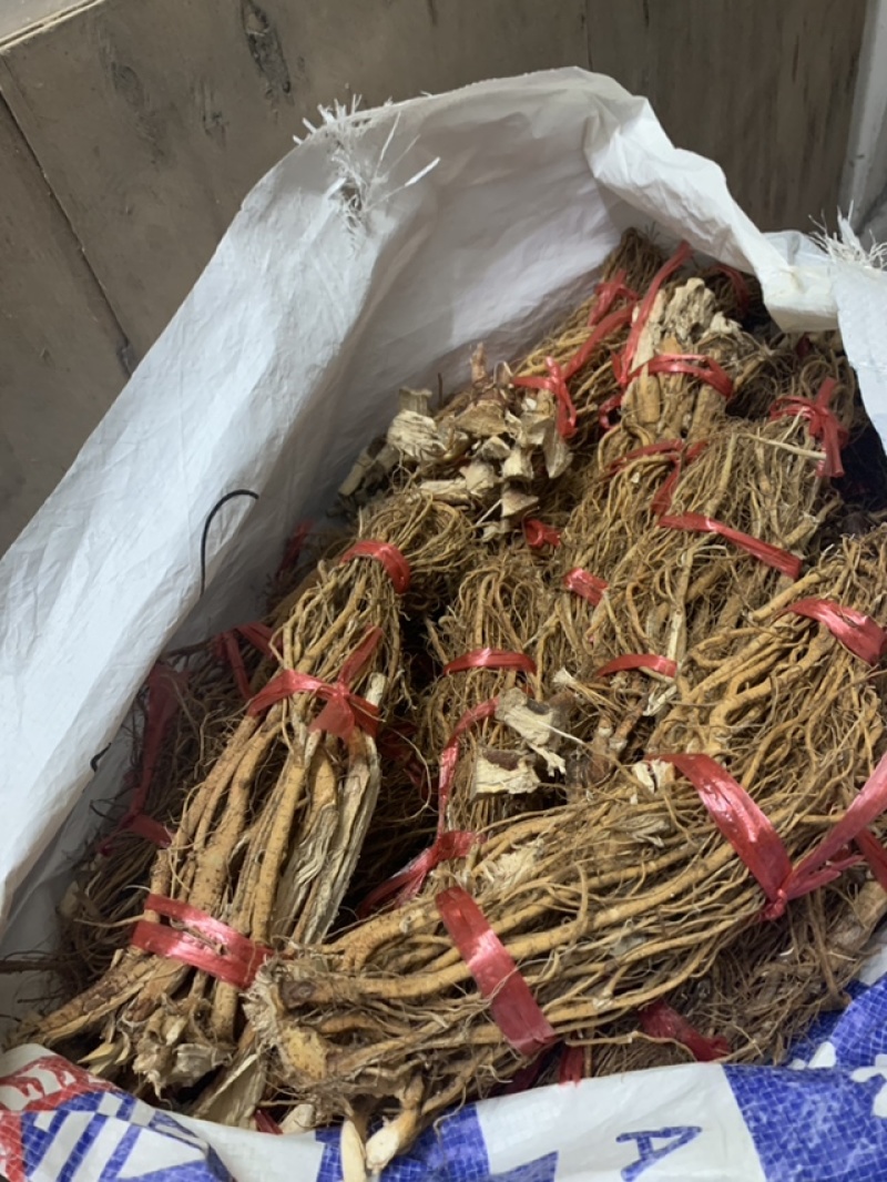 全国供应五指毛桃原产地直采正品保证