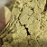 大豆胚芽粉（蛋白45）水产养殖，鱼饵料加工，大小饲料厂