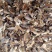 核桃分心木