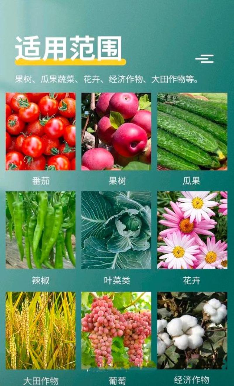 大量元素水溶肥高氮高磷高钾平衡全水溶肥膨果肥冲施肥生产厂