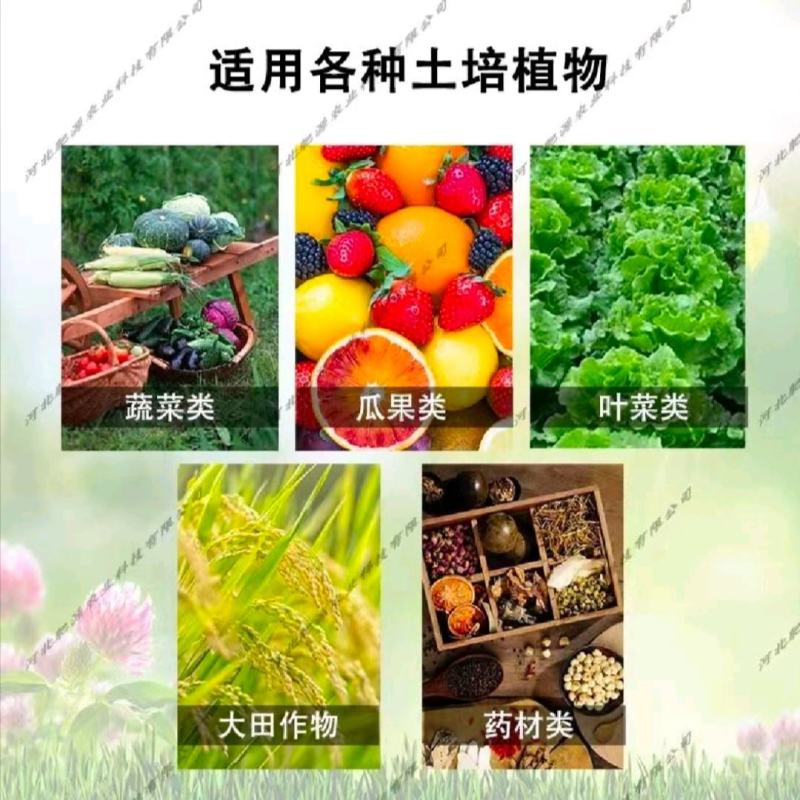 大量元素水溶肥高氮高磷高钾平衡全水溶肥膨果肥冲施肥生产厂