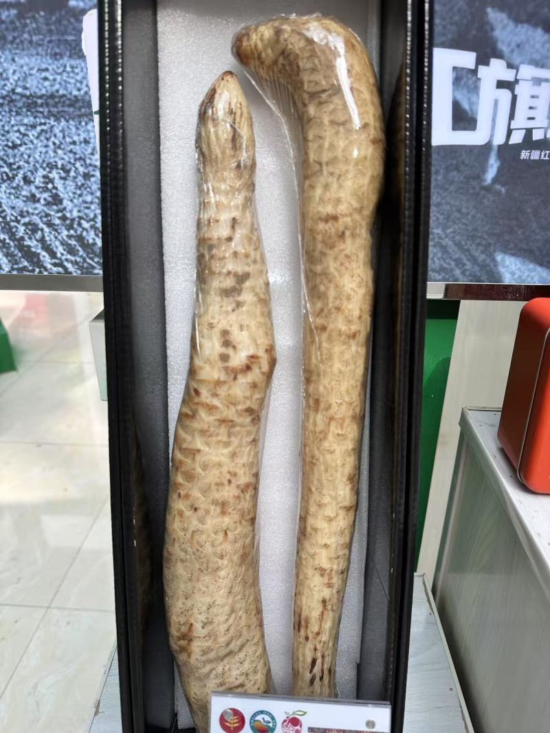荒漠肉苁蓉软大芸药食同源大芸新疆源头大量供货