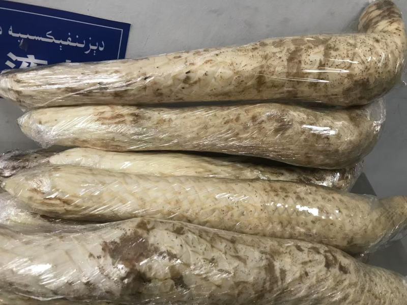 荒漠肉苁蓉软大芸药食同源大芸新疆源头大量供货