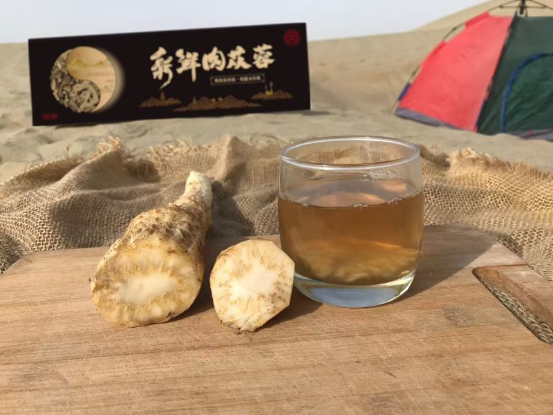 荒漠肉苁蓉软大芸药食同源大芸新疆源头大量供货